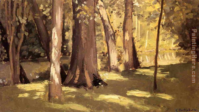 The Yerres, Effect of Light